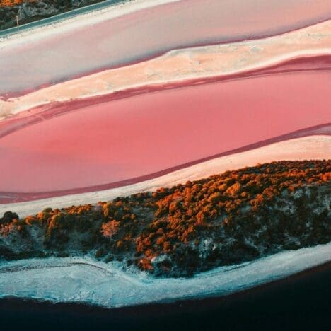 Pink Lakes of Western Australia | 2024 Discovery Guide